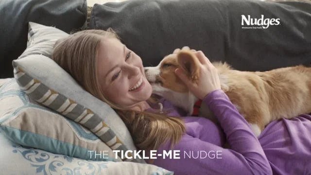 Joy :15 - Nudges Dog Treats