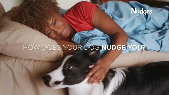 Affection :15 - Nudges Dog Treats