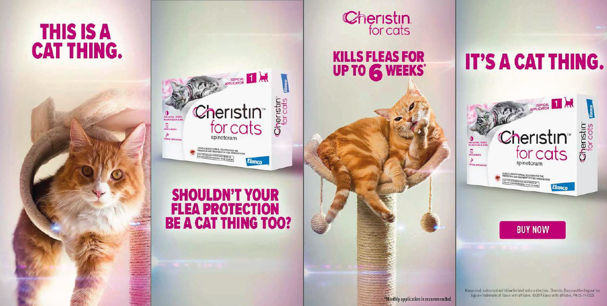 Cheristin Web Banner (progression)
