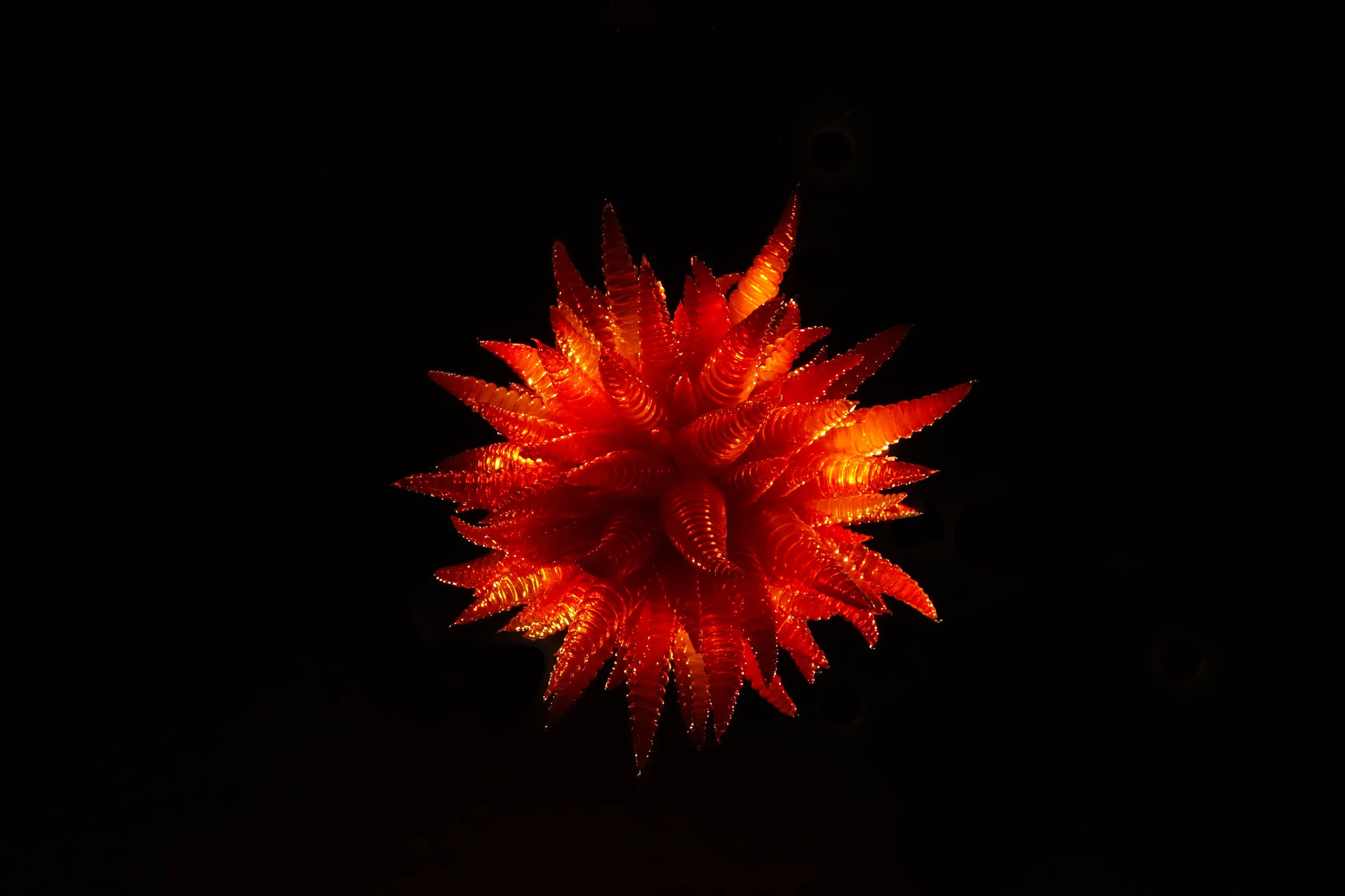 Glass Corona.jpg