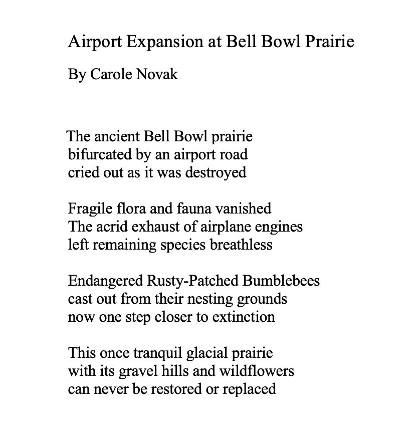 airportexpansion.jpg
