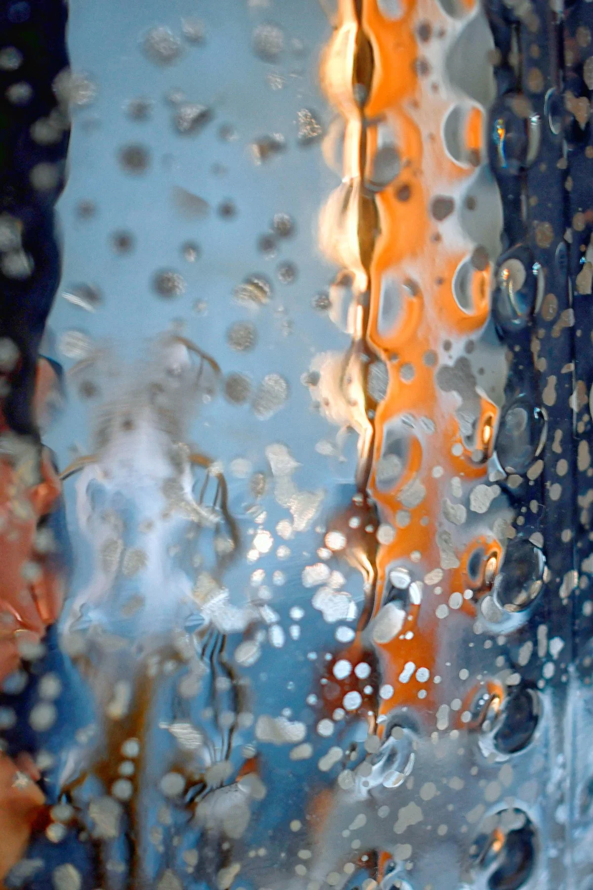 Winter's Light - Jane Feely.jpeg