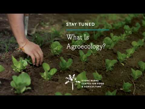 What Is Agroecology?
