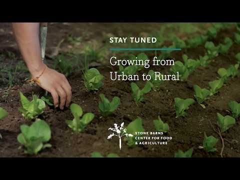 Growing from Urban to Rural