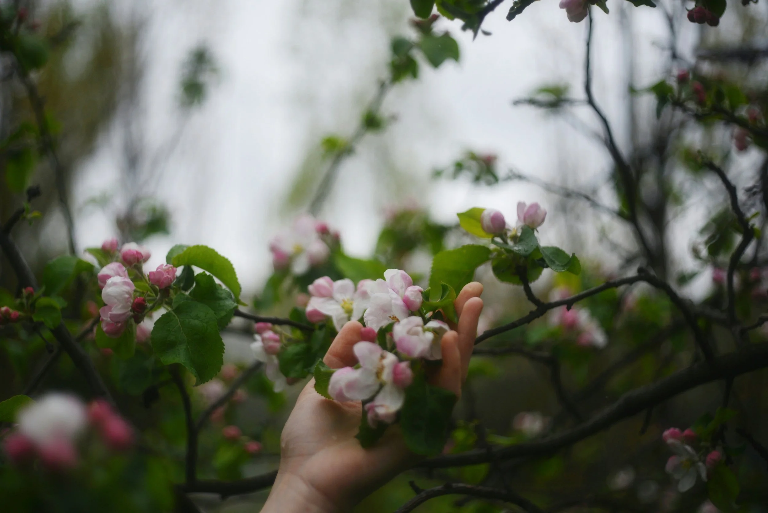 Mar. 27th-Monthly Community Breathwork Circle (Virtual)