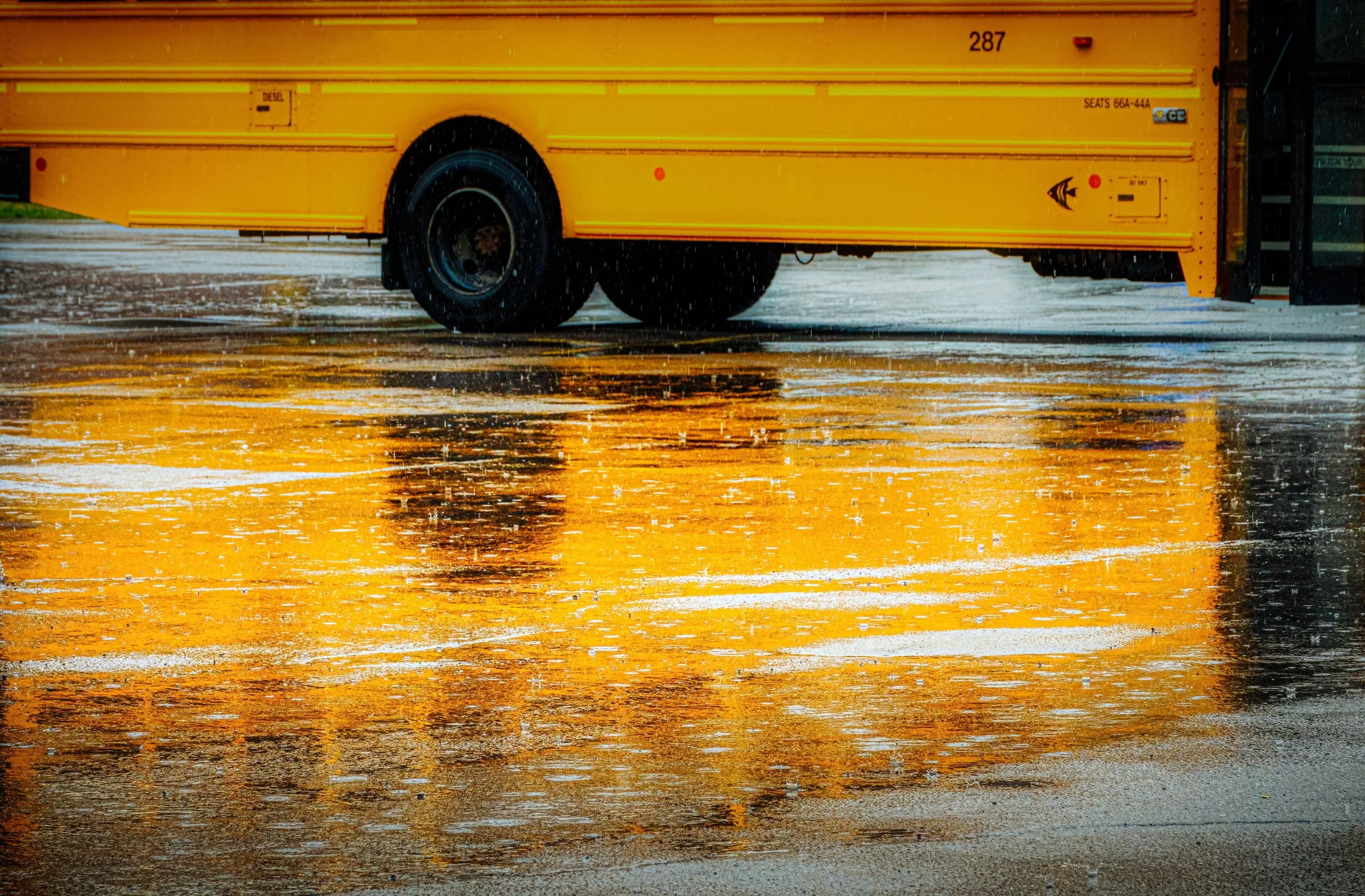 Preparing and Navigating through a Natural Disaster