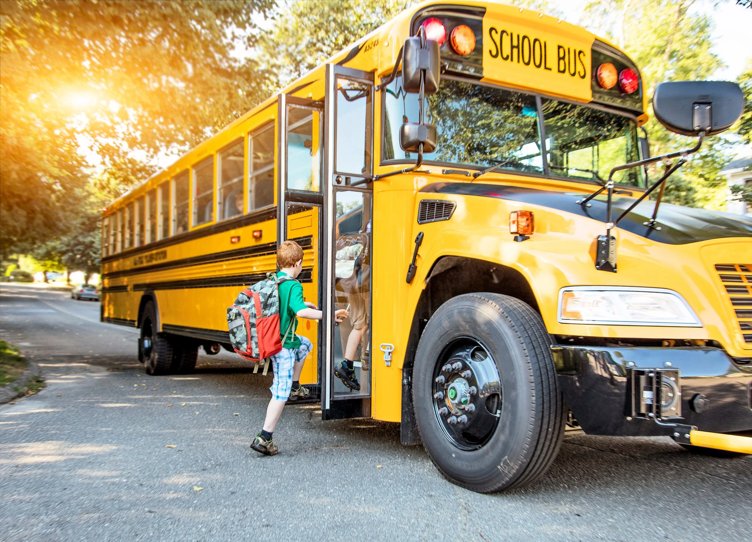 Considerations for Disability-Accessible Vehicles