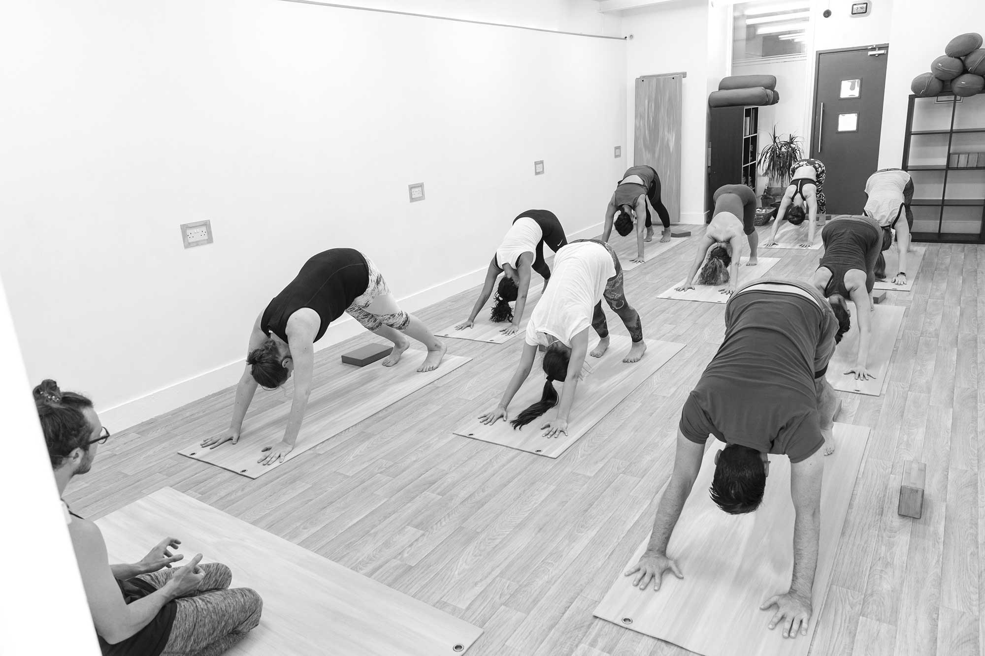 Dragonfly-Yoga-Part-2-55.jpg