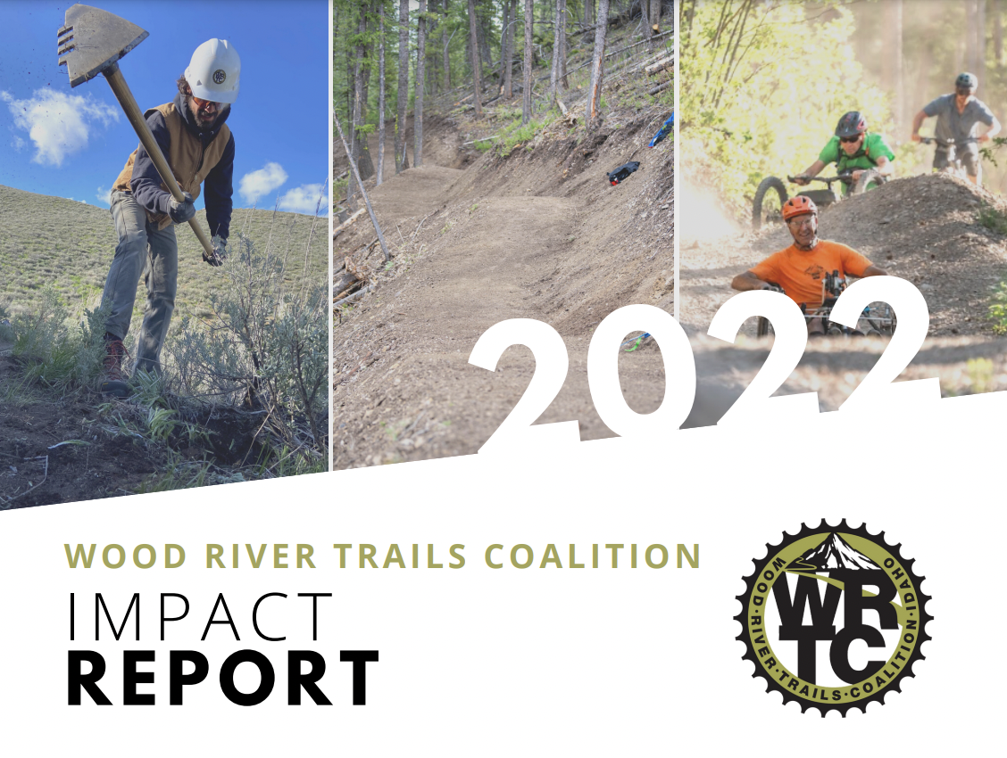WRTC 2022 Impact Report 