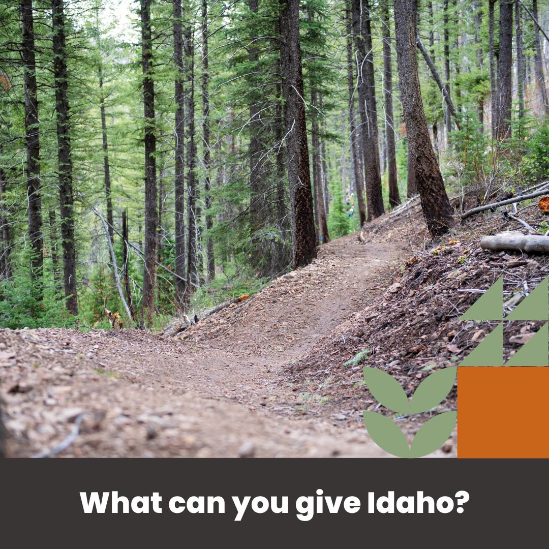 Save the Date for Idaho Gives 