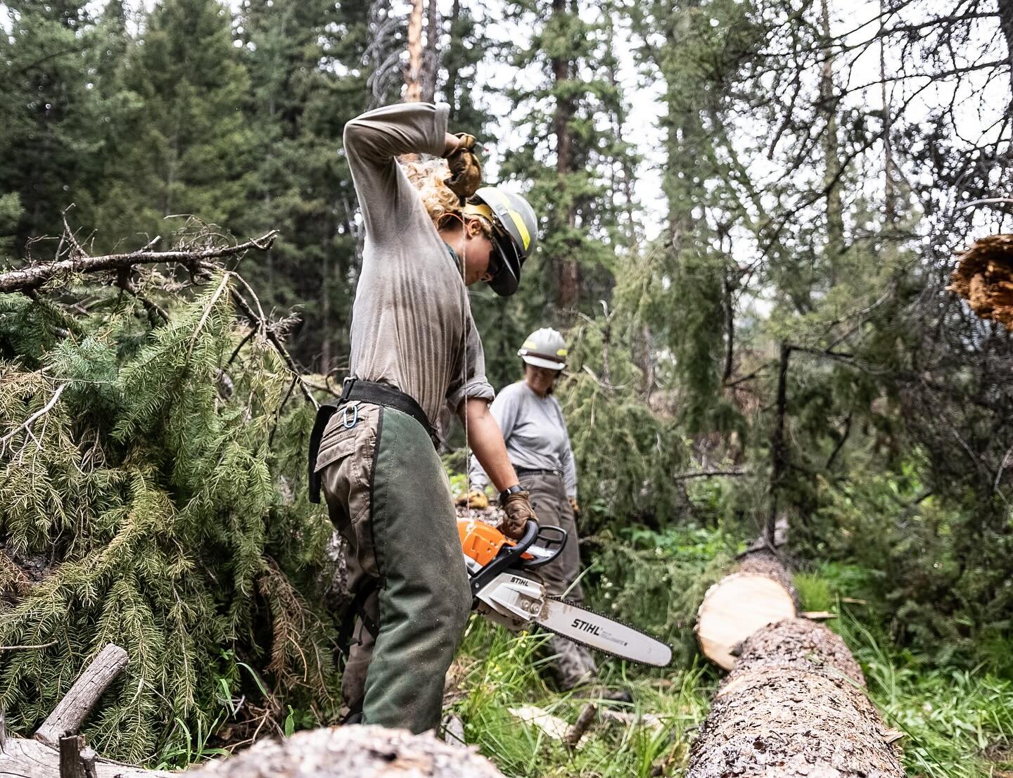 Did you know that the USFS funding needs way exceed the appropriations they get?  Basically that means that they have more to do than they have money for.

One really cool thing that we&rsquo;re doing here at the Trails Coalition is supporting our lo