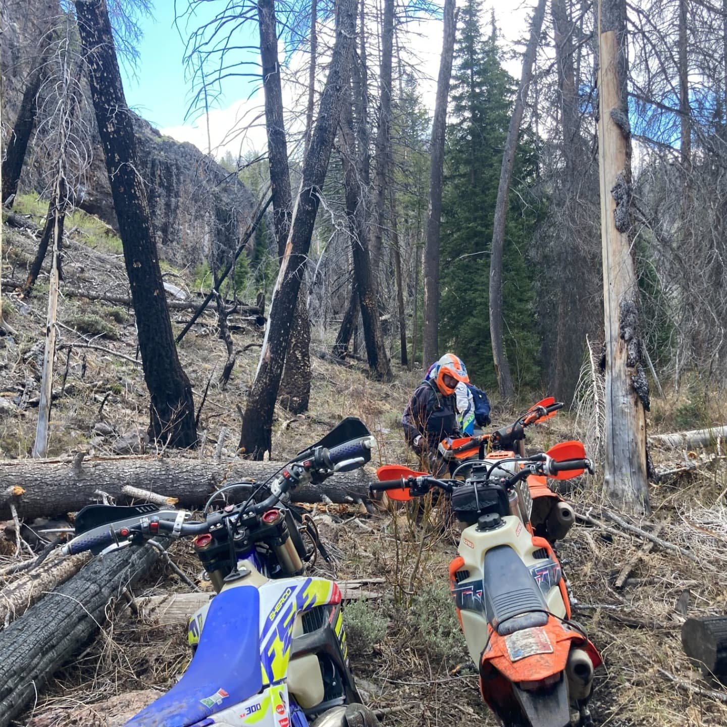 Woah, are you ready for this warm weather? We sure are! As trails open up, remember a few tips:
💥Before you head out, check out the &ldquo;Trail Map&rdquo; section of our website to see all of the most recent trail reports from our community
💥Pleas