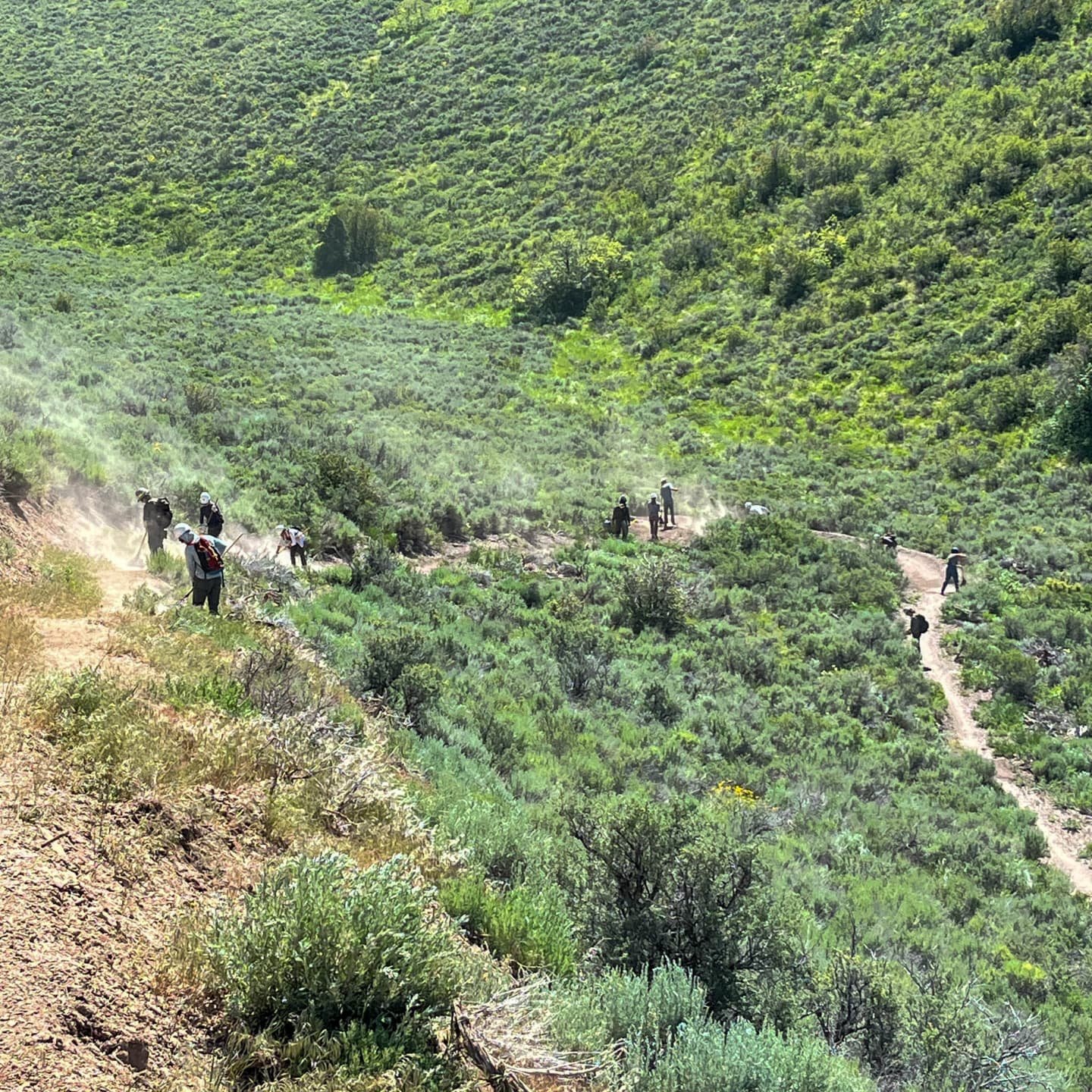 What a day on the dirt! 💪✨

We had a dusty and productive National Trails Day out on Silver Lining! With the help of WRTC staff, our Hybrid Trail Crew, Bureau of Land Management partners, retired trail legends, and an awesome group of volunteers, we