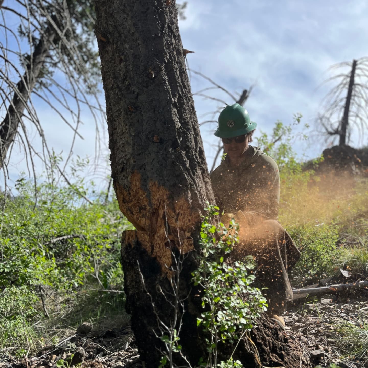You&rsquo;ll often find our staff out on the trails&mdash;not just behind a desk. 💪⛰️🌦️

With years of experience as trail professionals, we prioritize getting out and getting our boots dirty. Whether it's joining the Hybrid Trail Crew for big proj