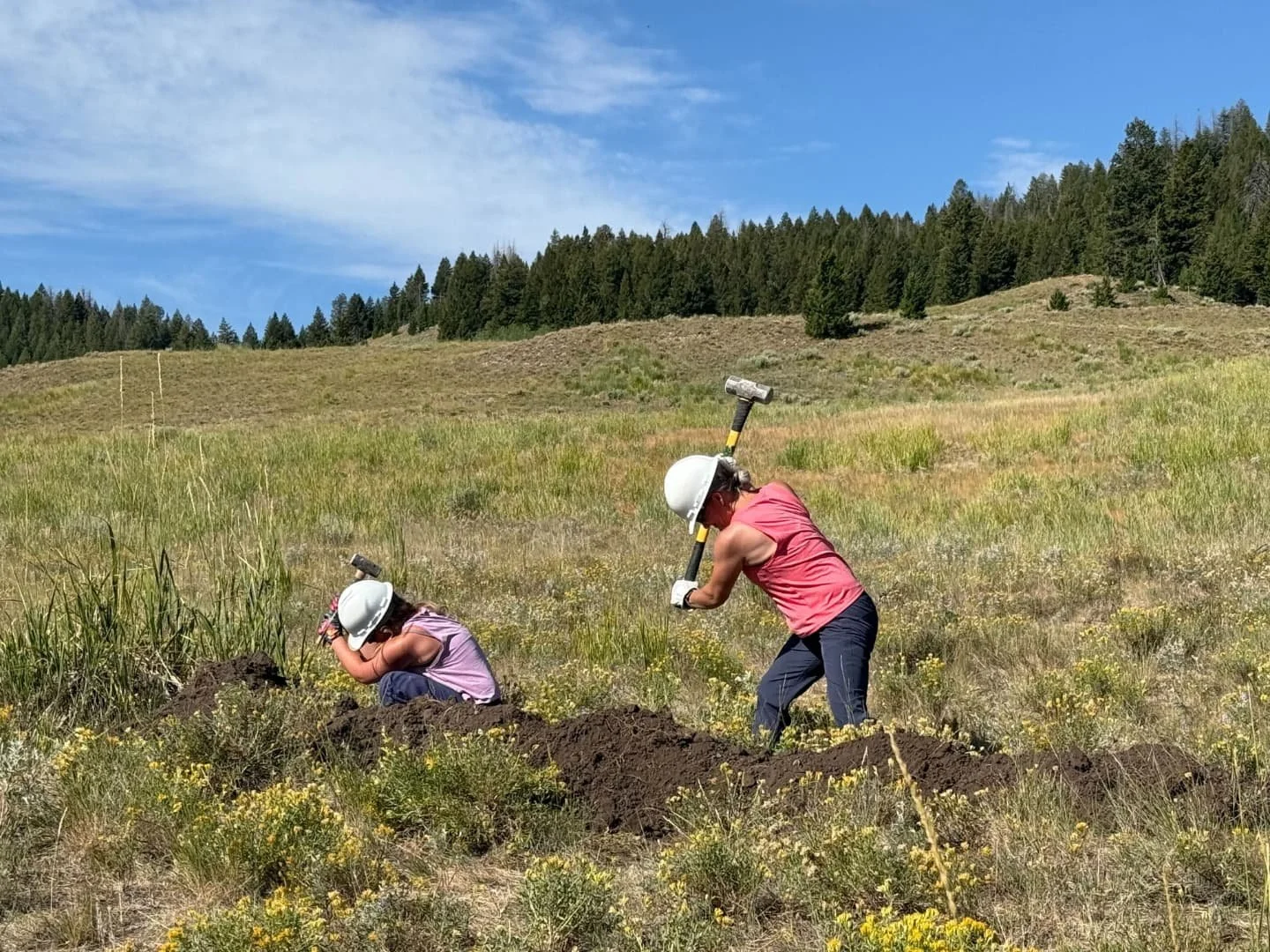 Thank you to St. Lukes for coming out and crushing (literally)!🔨✨⚡💥

 We gathered rock and dirt to fill a section of very cupped trail on Harper's. In total, the group crushed around 30 cubic feet of rock then packed another 30 cubic feet of dirt o