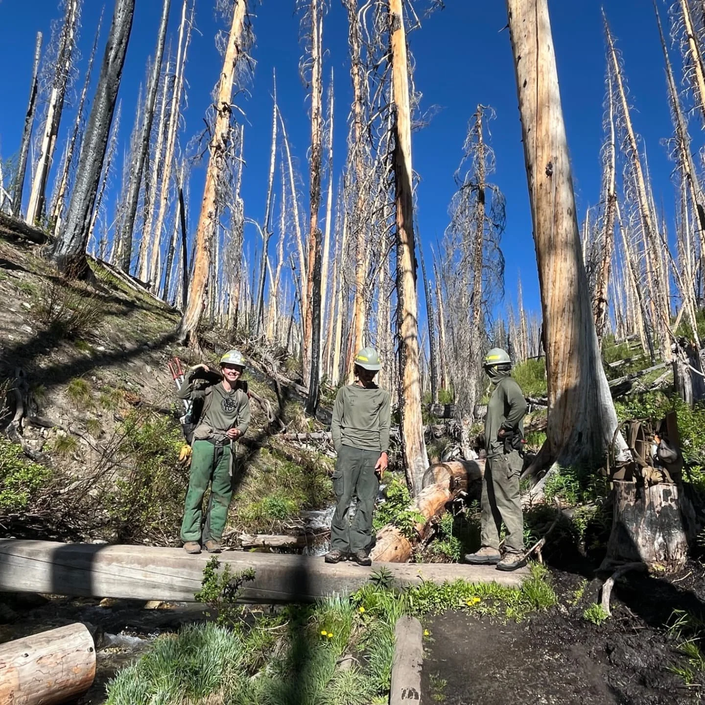 🚧Trail Work Notice &ndash; Baker Lake Trail🚧
About a mile up the Baker Lake Trail, the single-log footbridge is getting an upgrade! The Hybrid Trail Crew will be replacing the bridge as the old one gets to the end of its lifespan, and to address la