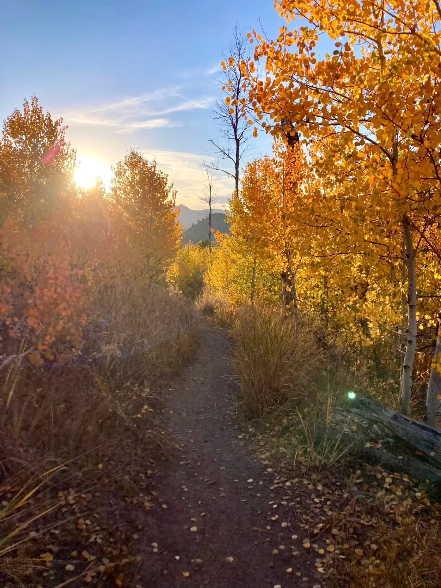 The clock is ticking&mdash;the Trails Challenge ends TOMORROW! 🗓️
If you&rsquo;ve completed your trails, make sure to drop your challenge card off at our offices, or take a photo and email it to Liz! 🙋&zwj;♀️

Don&rsquo;t miss your chance to claim 