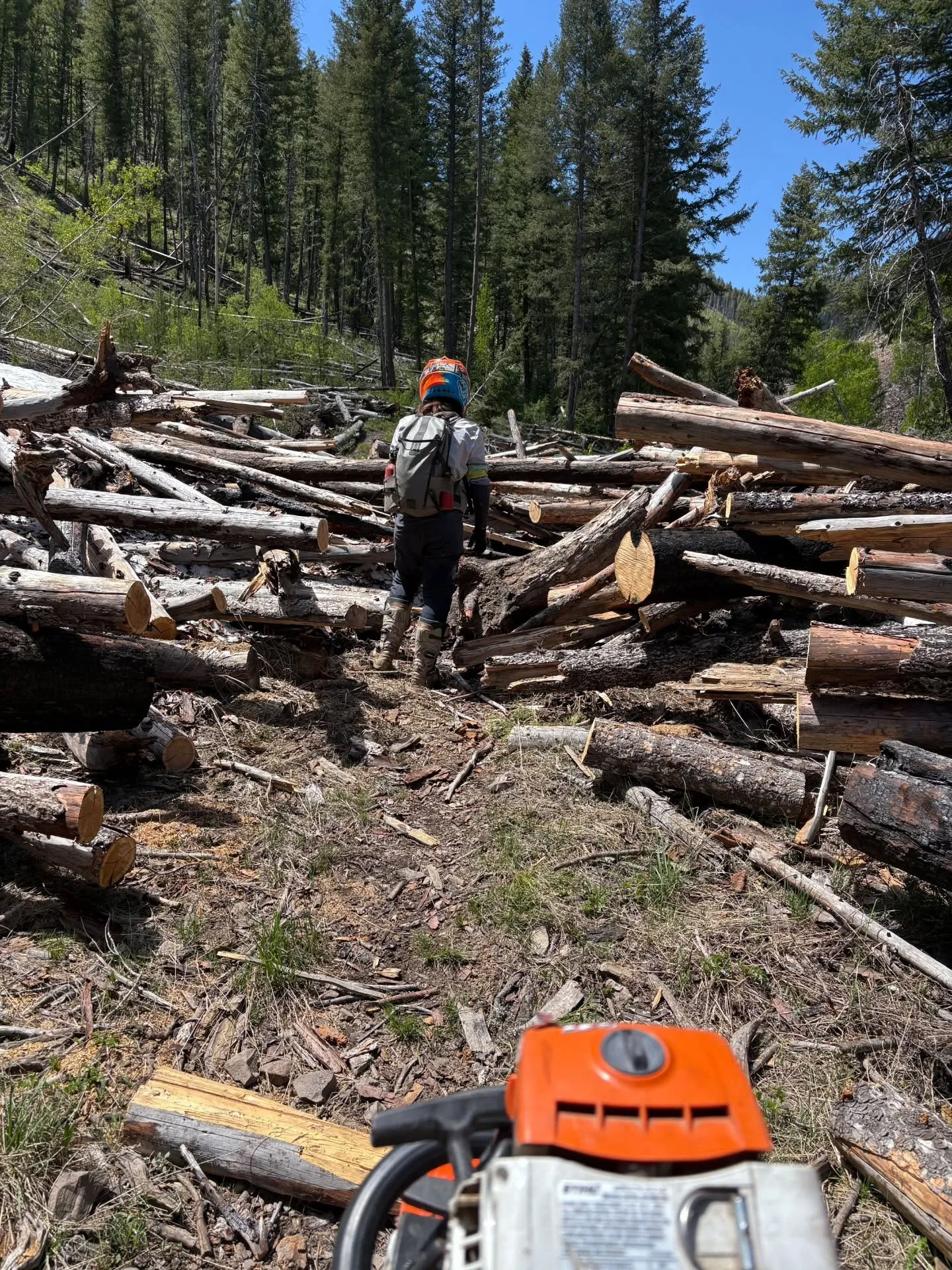 Huge thank you to the moto community this year!  As always, these incredible humans put countless hours into clearing and cutting trails so we can all get out there. 🪚👏

Just feeling grateful for these moto-folks.  It's not just spring that they're