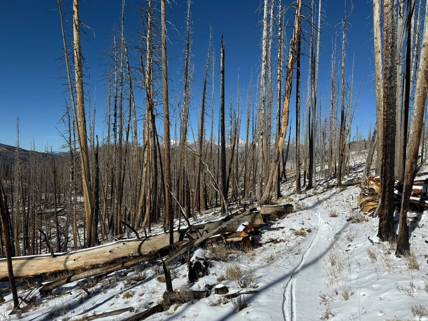 Winter is coming to our trails, are you ready?  We&rsquo;ve rounded up a few tips to help get us through this transition season:

❄️ Be kind, be patient: As snow starts to affect our network, the number of available trail miles gets smaller and small
