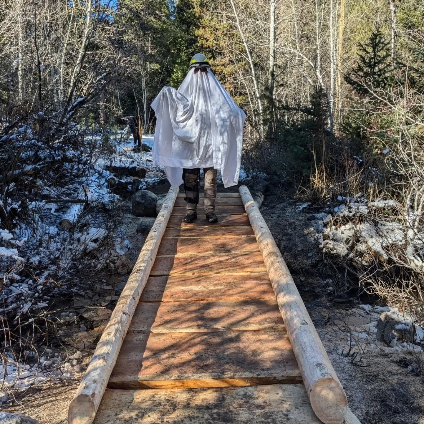 Oh no!  The new Warfield Bridge is haunted! 👻🎃☠️

Luckily, Olivia chased off that pesky ghost, whew.

Hope you have a spooktacular Halloween weekend on the trails!
--
&iexcl;Oh, no! &iexcl;El nuevo puente Warfield est&aacute; embrujado! 👻🎃☠️

Por