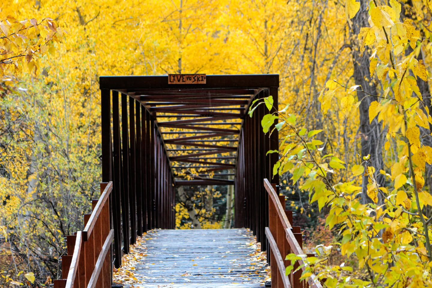 With another winter storm headed our way, are you hoping that it'll usher in the official end of fall and beginning of ski season? ❄️⛷️Or are you hoping it'll brush by the high peaks, leaving the lower trails open for a few more weeks of dry trails??