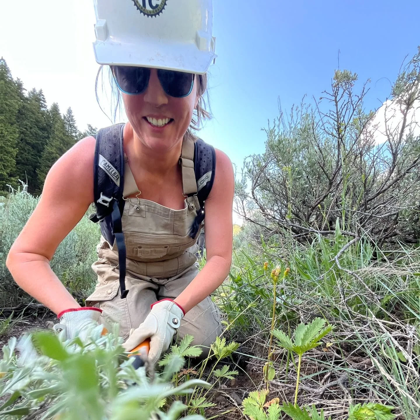 Holy cow!  We cannot thank the 228 volunteers who came out to give back to their trails enough! 💪👏🥳

These rock star humans maintained a total of 8 miles - brushing back annoying shrubbery, maintaining drains, raking rocks, and making sure your tr