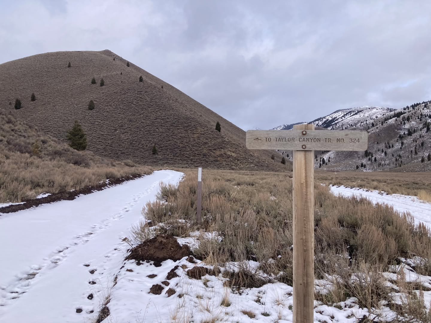 For the most part, North Valley trails are snow covered, and are good for hiking, dog walking, running, and getting outside!  South Valley is a little more complicated, with conditions ranging from totally dry to totally frozen with plenty of mud in 