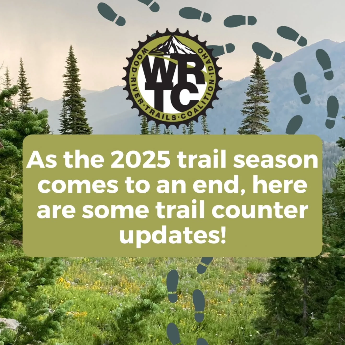 As we crunched some of the numbers from our trail counters from the season, for the Impact Report,  here are some highlights we thought stood out:
🌿Greenhorn saw the highest number of counts this summer with a total of 31,891 detections! 
🌿The Satu