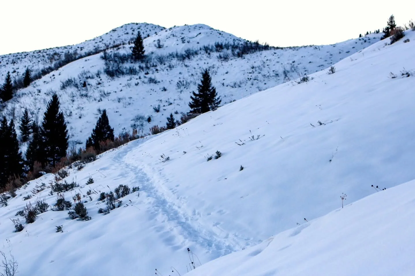 Happy New Year! Hope you&rsquo;re planning to ring in 2026 with lots of goals to hit the trails! 

If one of your resolutions includes &ldquo;get outside more&rdquo;, then you&rsquo;re in the right place to do that. Adams Gulch is plowed all winter, 