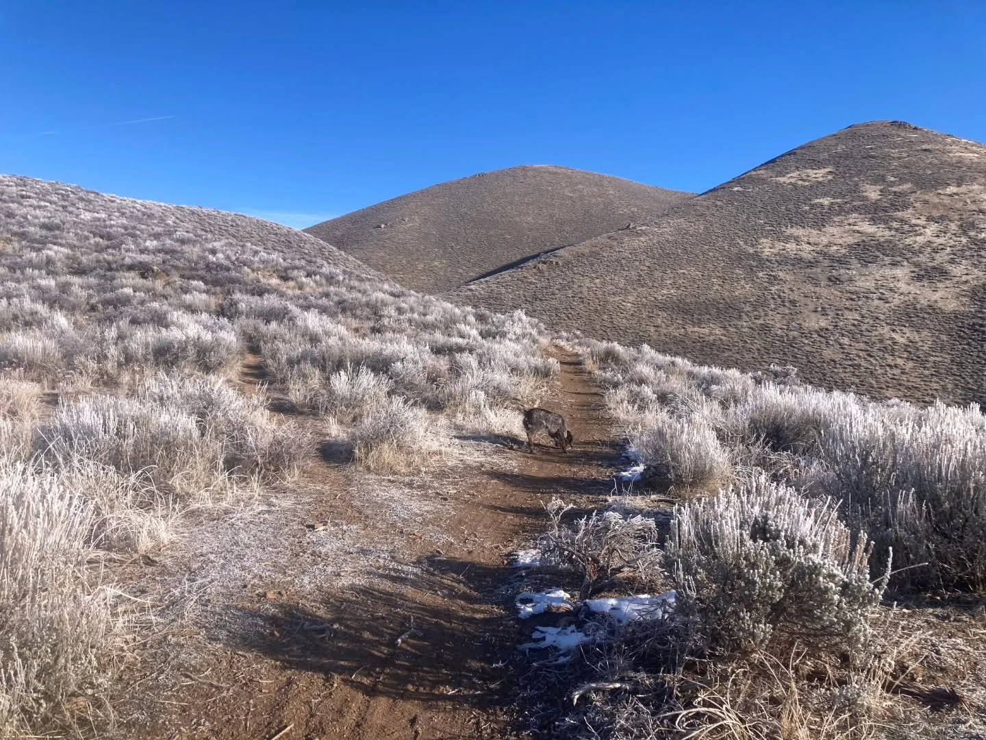 are you
a. mourning the lack of low elevation snow?
b. celebrating the amount of dry trail?
c. learning to ice skate on shady sections of trail?
d. all of the above
--
&iquest;Est&aacute;s:
a. lamentando la falta de nieve a baja altitud?
b. celebrand