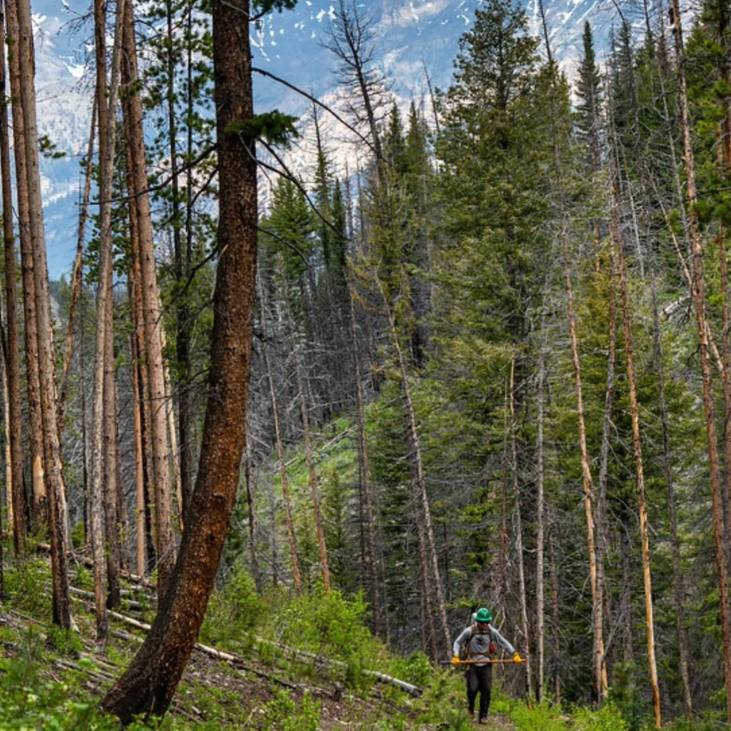 Public lands and trails are one of America&rsquo;s great ideas. They are places that don&rsquo;t belong to one person or one group, but to all of us. They invite connection not just to the land, but to each other.

Here in the Wood River Valley, that