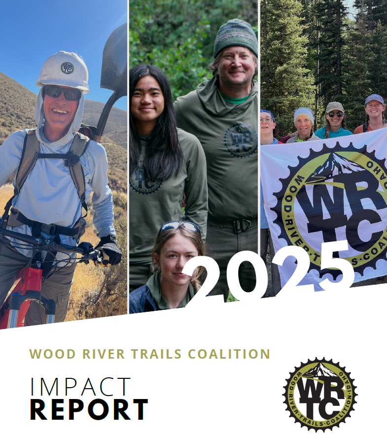 Read the 2025 Annual Report!