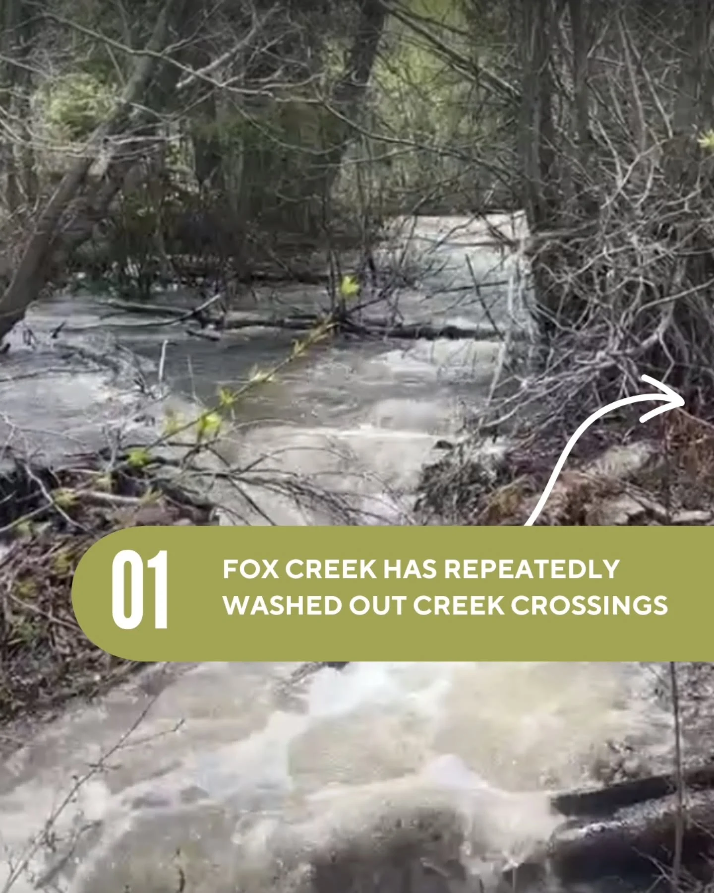 The Fox Creek Trail is one of the most loved rides and hikes in the Wood River Valley&mdash;but the creek crossing has become a weak link. Repeated flooding has damaged the existing bridge and turned the crossing into an unstable mix of logs, water, 