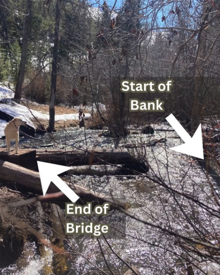 The Fox Creek crossing:  we're gonna need a bigger bridge.
--
El cruce de Fox Creek: vamos a necesitar un puente m&aacute;s grande.