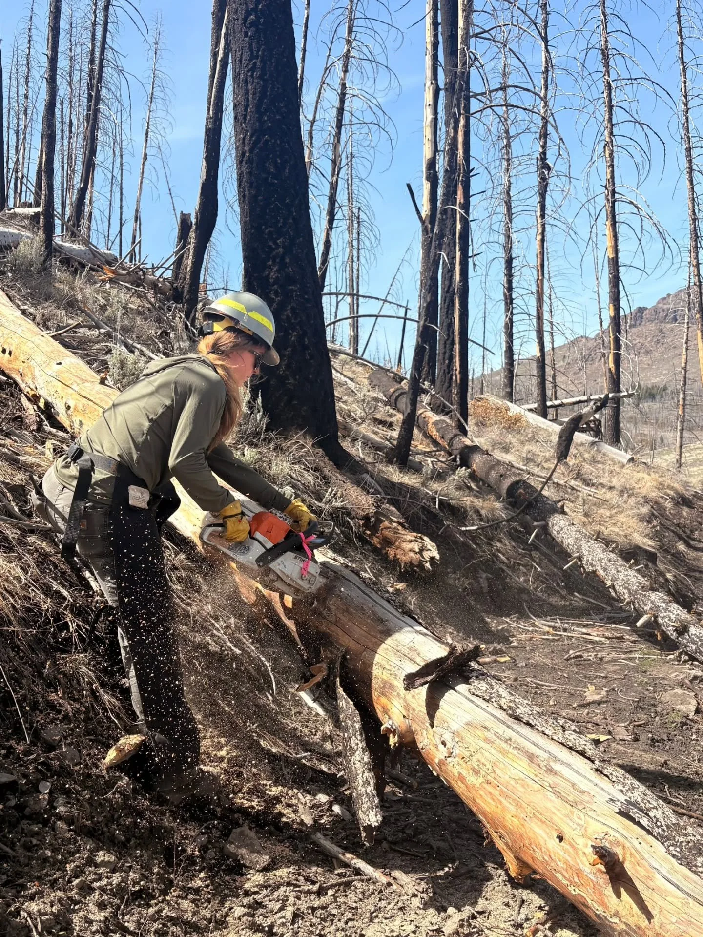 Trail counters are going out, trees are getting cleared, trail reports are pouring in, wildflowers are starting, and it's really starting to feel like trail season out there!
--
Se est&aacute;n colocando los contadores de senderos, se est&aacute;n ta