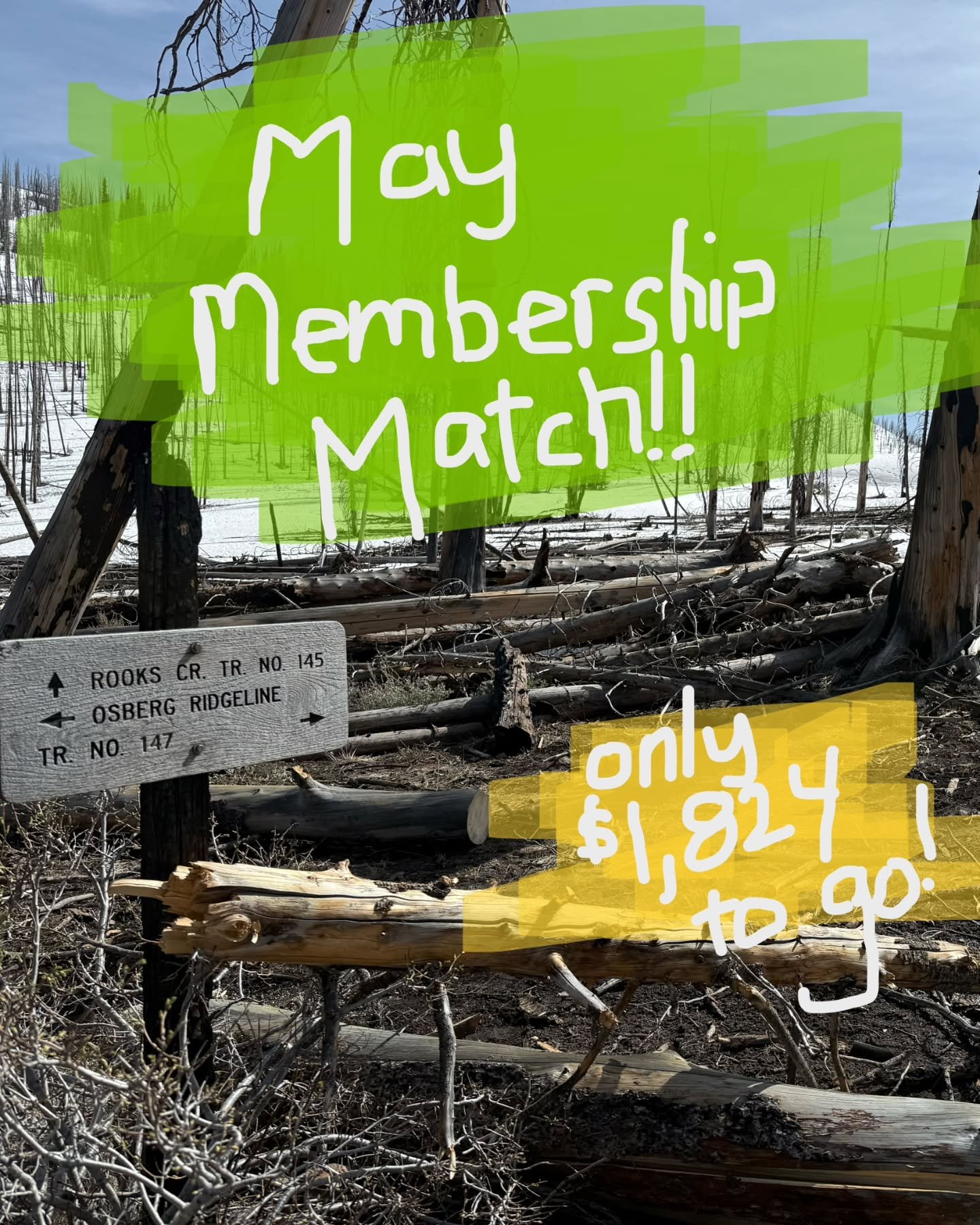 May Membership Match!!

It's still happening folks! We're $8,176 down with $1,824 left to go on our membership drive! If you've been on the fence about becoming a member of the WRTC, wait no longer.

✨You can become a member at our annual membership 