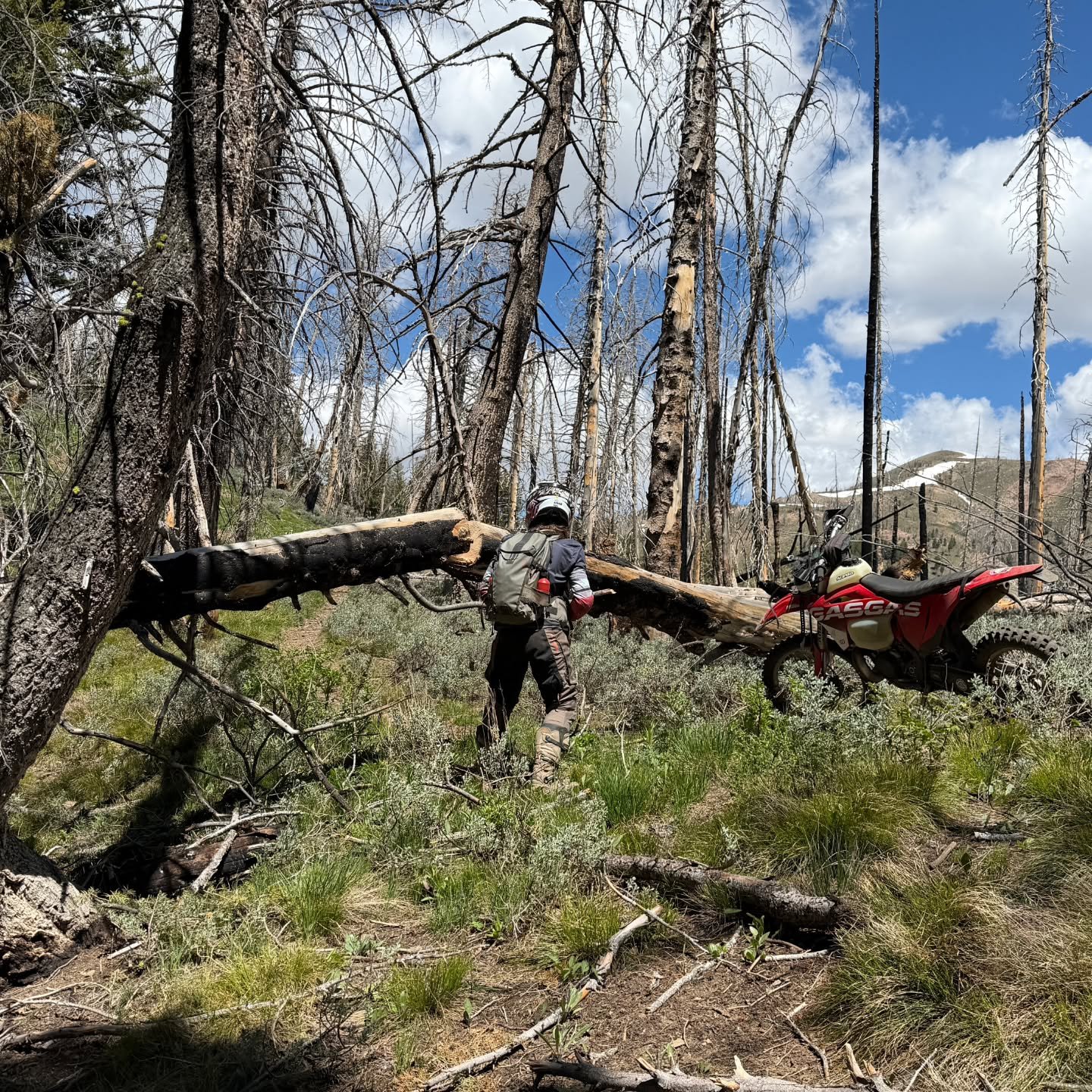 The Warm Springs drainage isn't exactly known for being tame.

Remote trails, rugged terrain, and trees falling down all through the burn make it a place where the moto community thrives.

This spring, moto crews have cleared more than 250 trees from