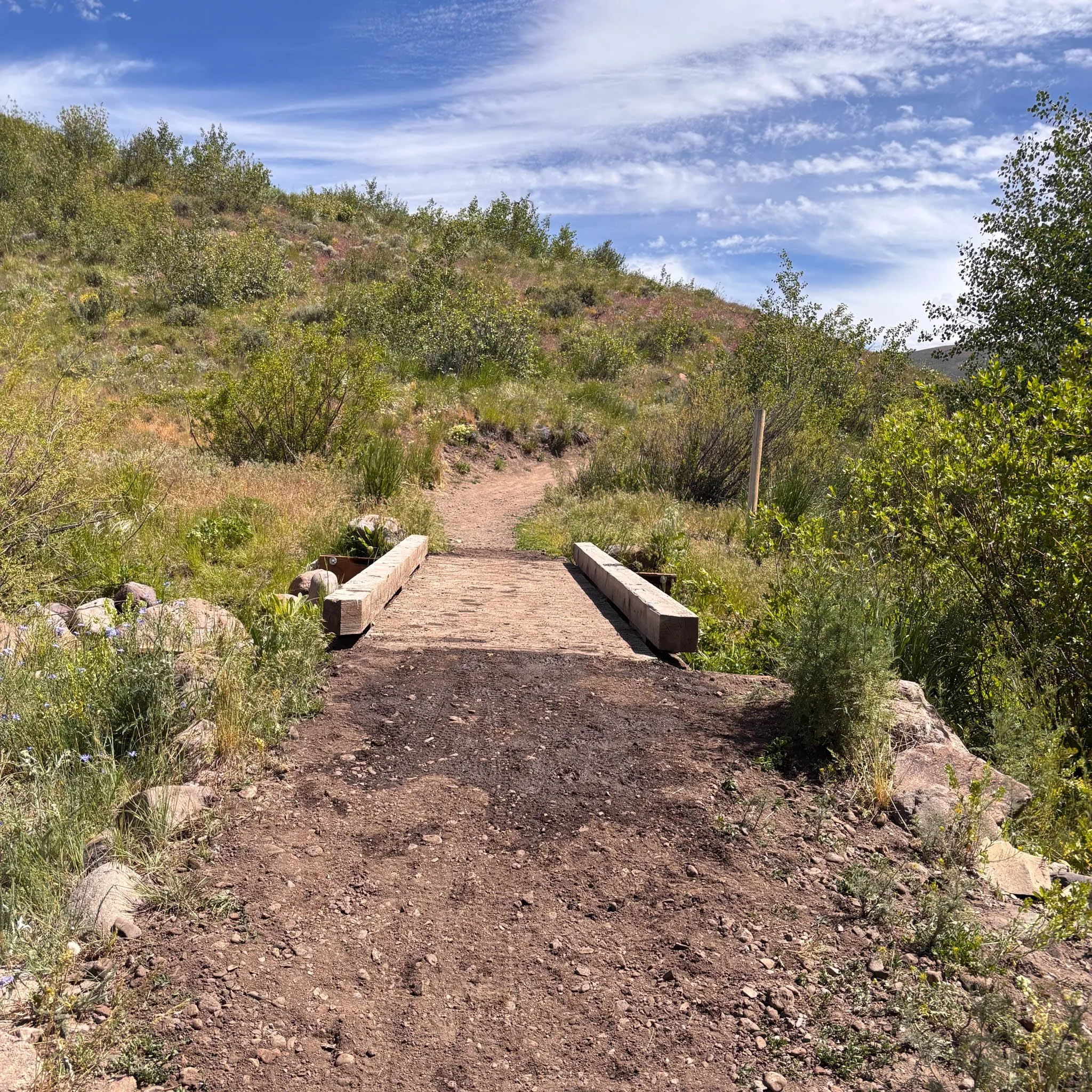nattrailsday-3.jpg