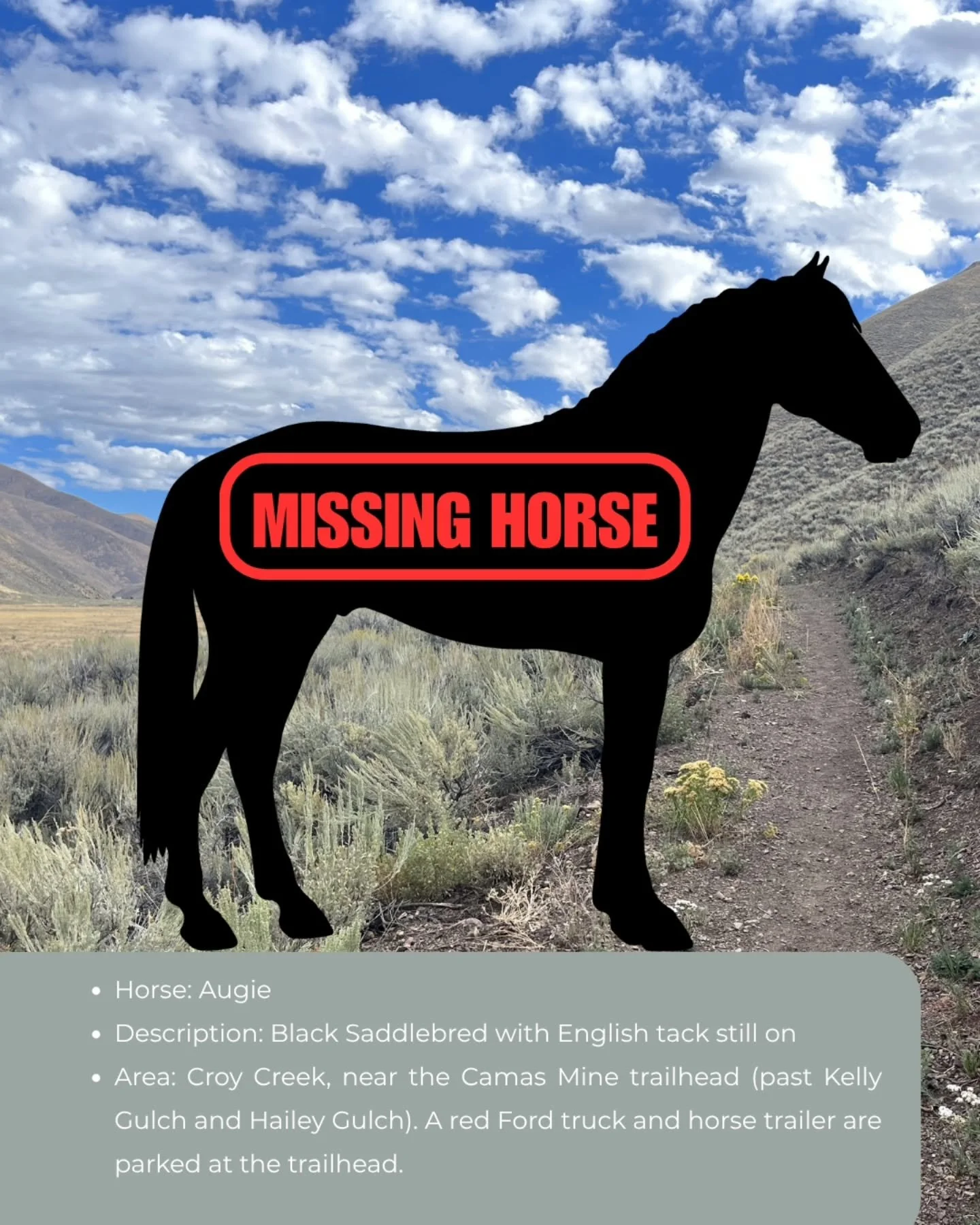 LOST HORSE &ndash; PLEASE SHARE!

Augie is still missing in the Croy Creek area after his rider was injured in a fall on June 8. The rider was airlifted from the scene, and Augie was last seen wearing his saddle and bridle.

Horse: Augie
Description: