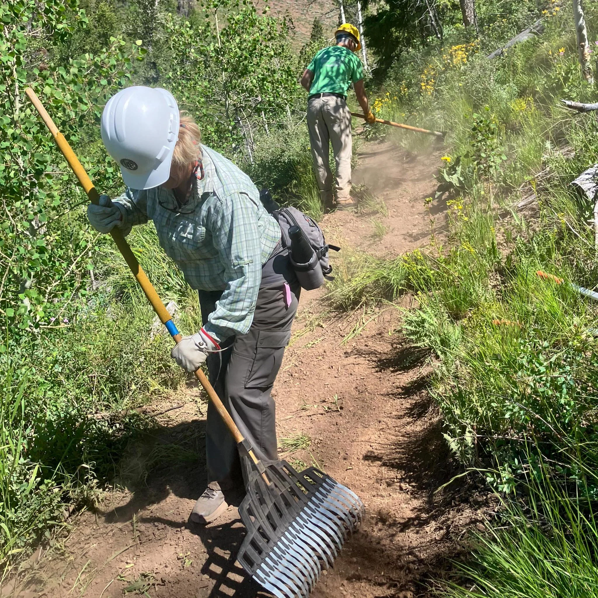 Sawtooth Back Country Horsemen Volunteer to Work on Johnstone Creek Trail!