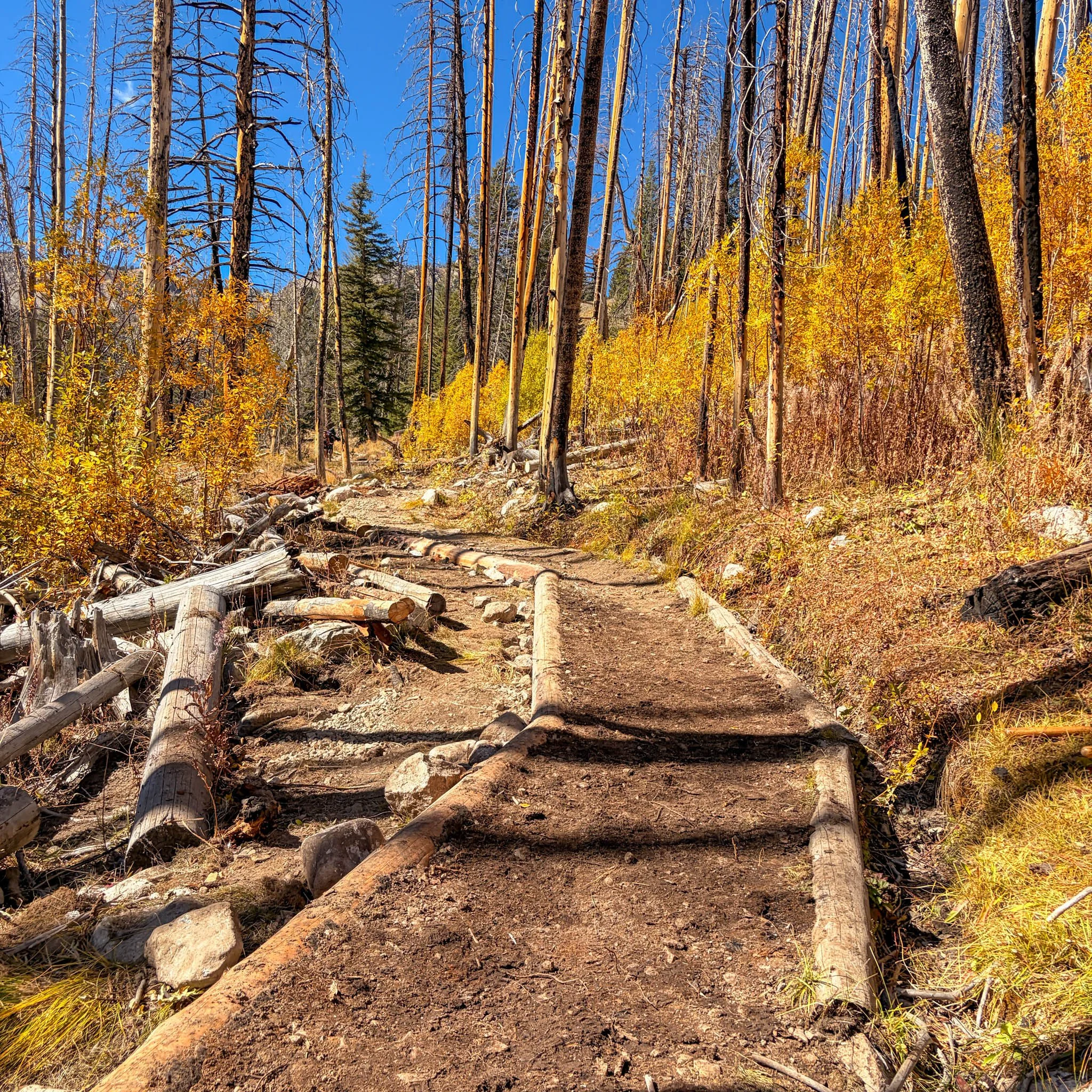 BoulderLakeComSch-10.jpg