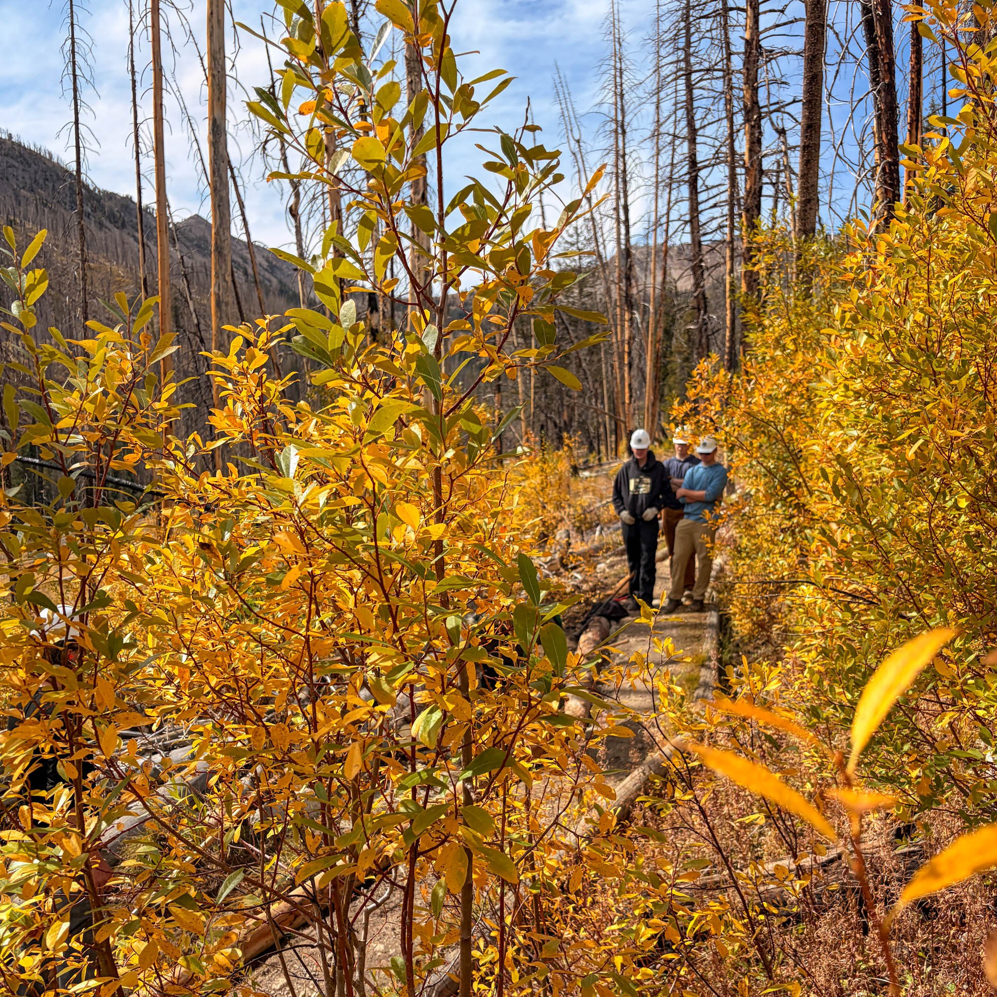BoulderLakeComSch-18.jpg