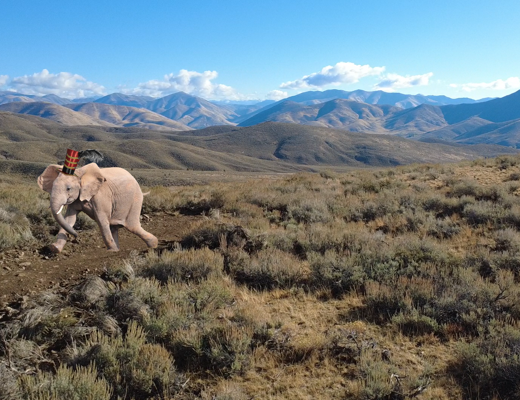 Introducing Samson's Rampage!