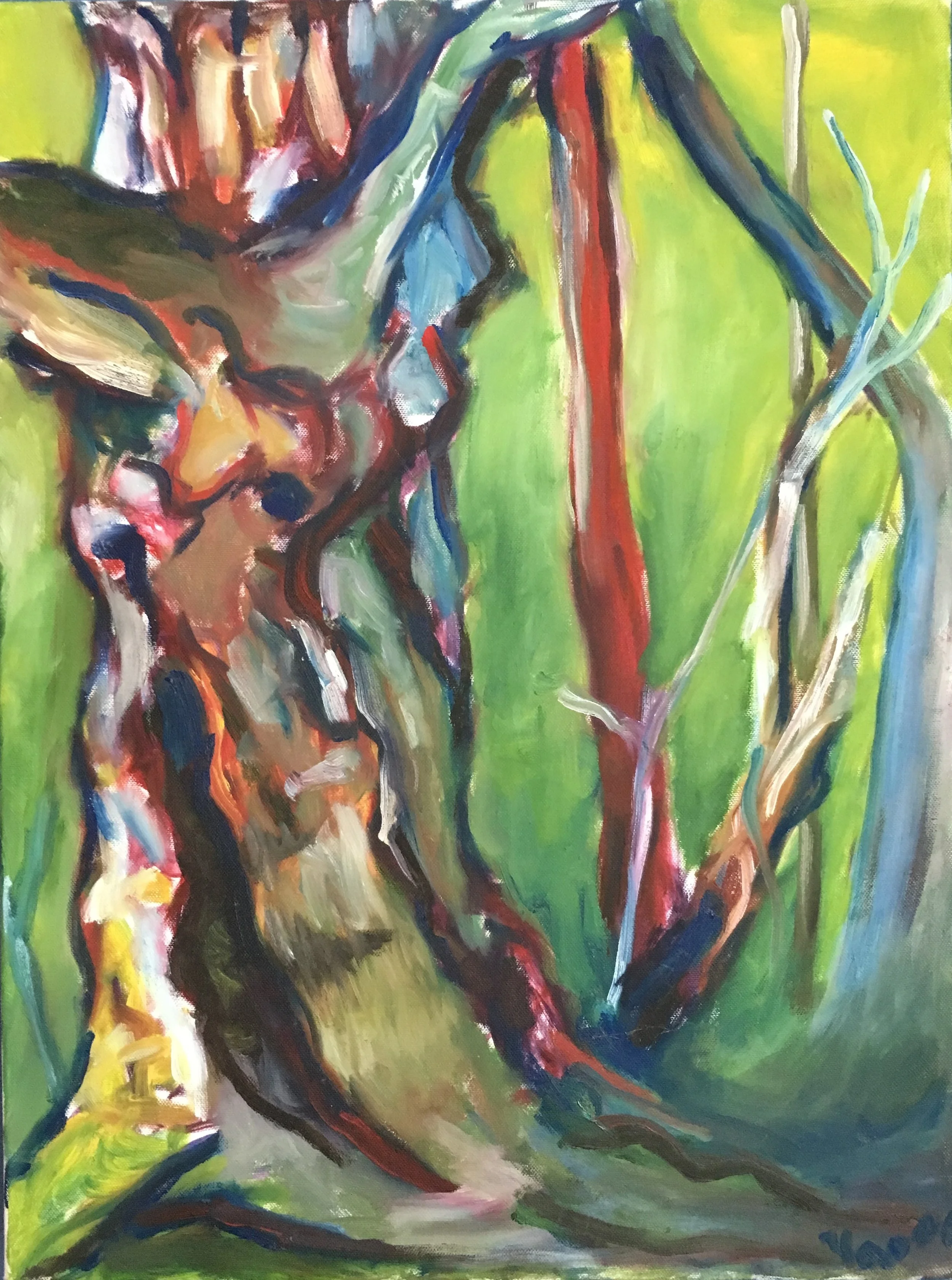 Gnarly Old Oak Tree (Cross-Country Trail at Colgate)