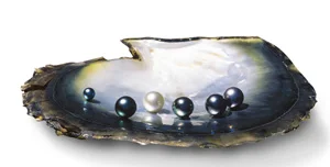 Tahitian-oyster-med.jpg