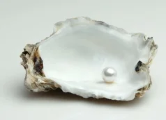 pearl-in-shell.jpg