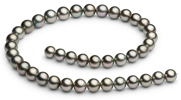 Tahitian Pearl Necklace 9.0-11.1mm AA+ Discounted Pearls.jpg