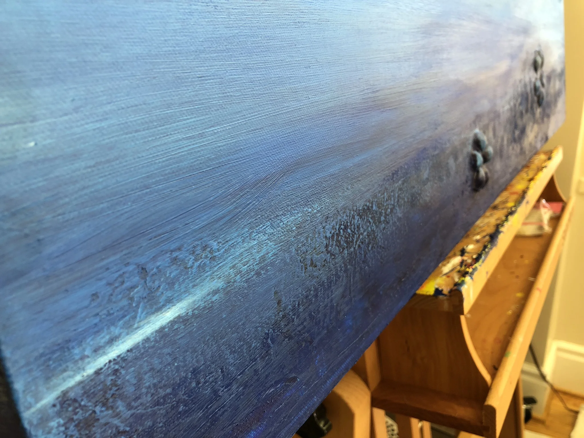 THROAT BLUE DETAIL 2.JPEG