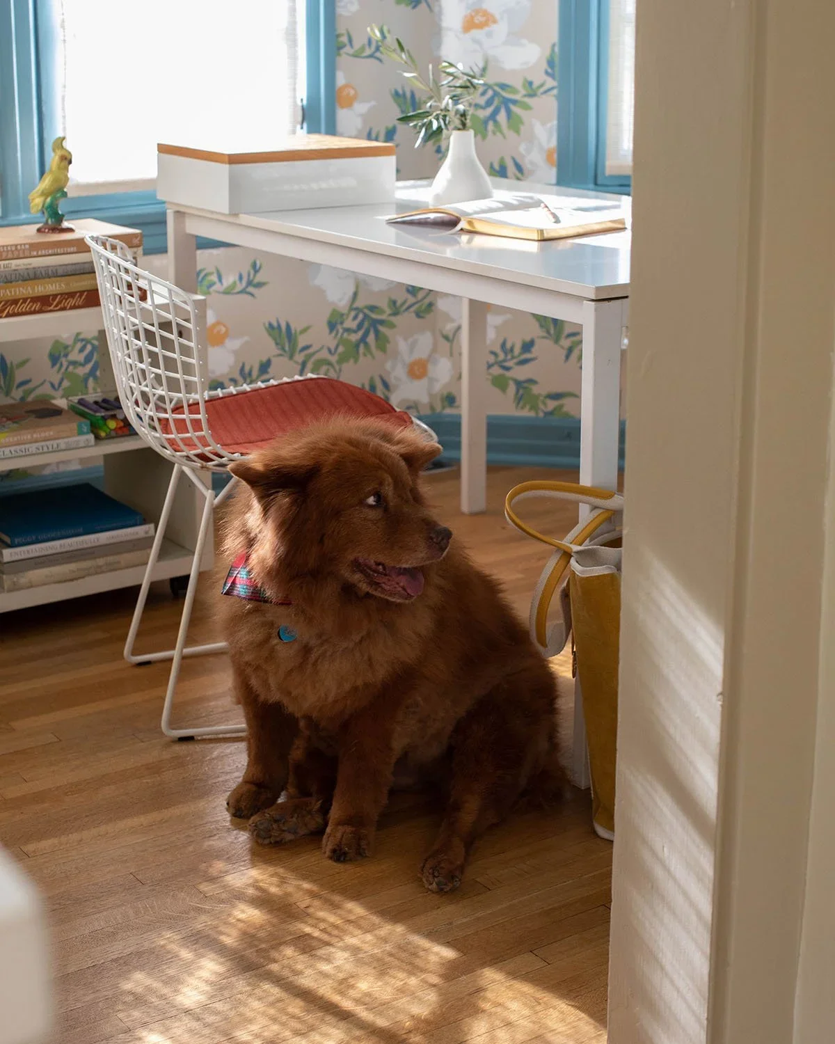 13-Dog-Sitting-in-Home-Office-Perfitt-Richards-Interior-Design.webp
