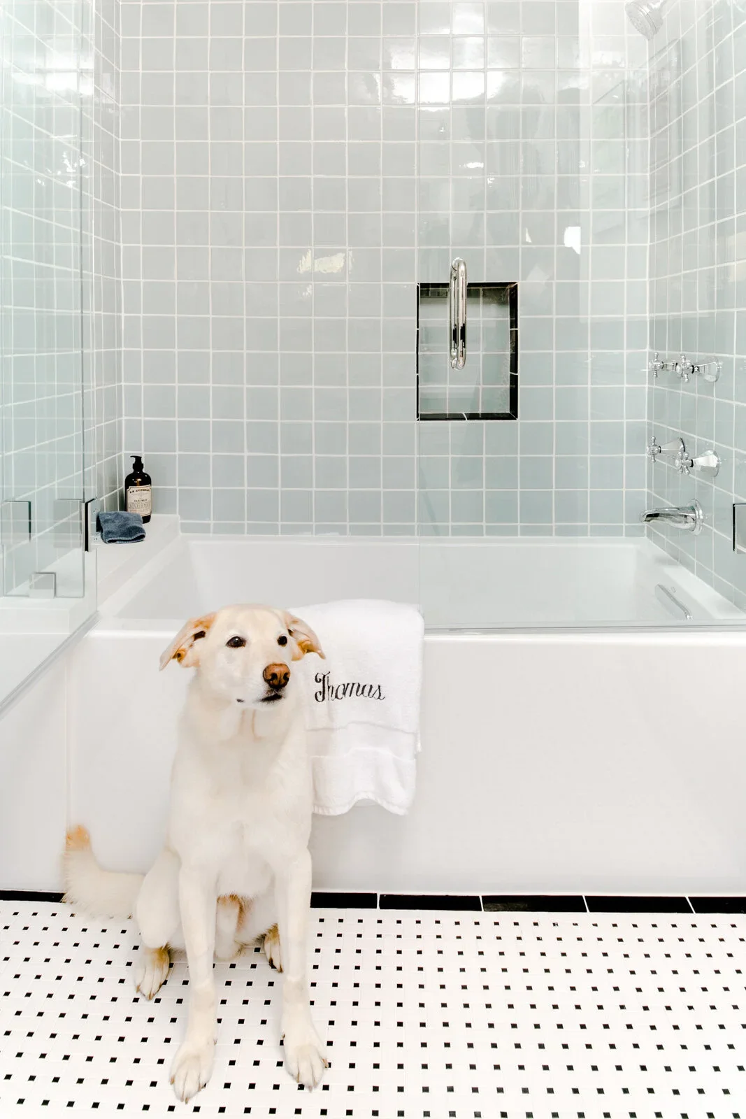 Traditional-Bathroom-Tub-Shower-Perfitt-Richards-Interior-Design.webp